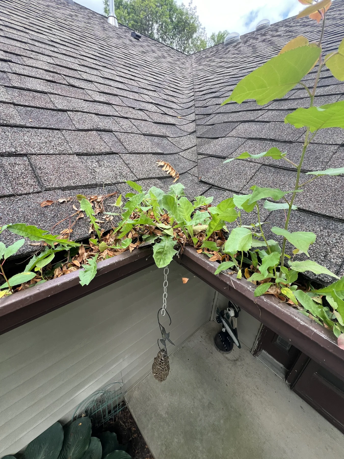 Professional gutter cleaning service in western Wisconsin